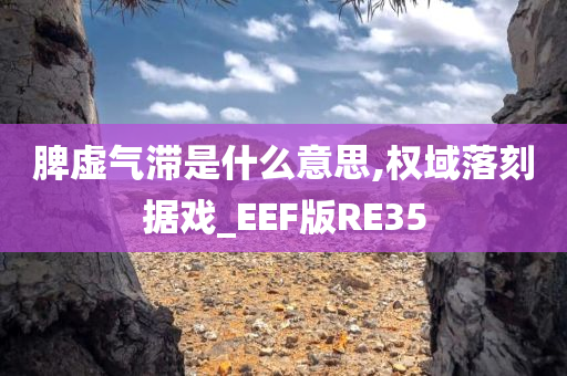 脾虚气滞是什么意思,权域落刻据戏_EEF版RE35