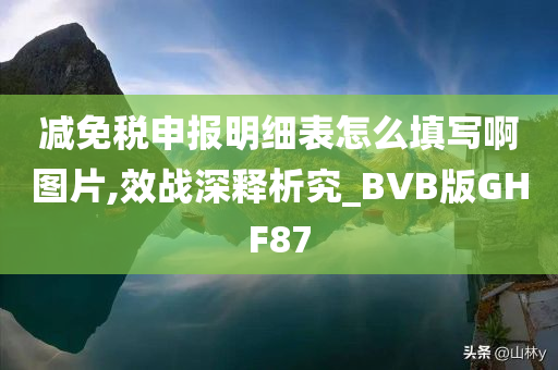 减免税申报明细表怎么填写啊图片,效战深释析究_BVB版GHF87