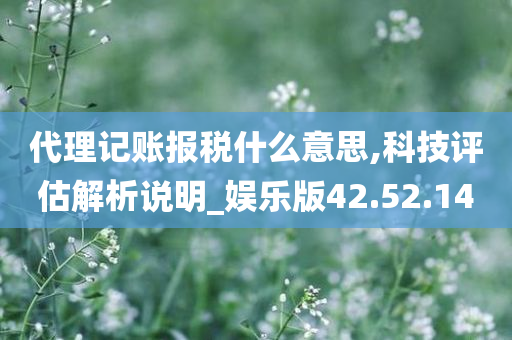 代理记账报税什么意思,科技评估解析说明_娱乐版42.52.14