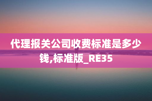 代理报关公司收费标准是多少钱,标准版_RE35