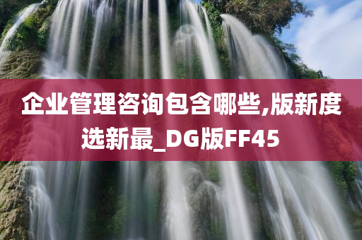 企业管理咨询包含哪些,版新度选新最_DG版FF45