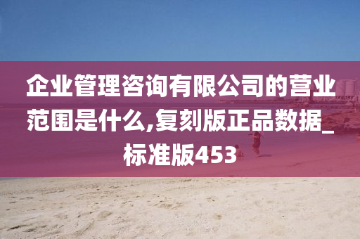 企业管理咨询有限公司的营业范围是什么,复刻版正品数据_标准版453