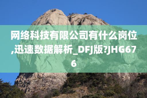 网络科技有限公司有什么岗位,迅速数据解析_DFJ版?JHG676