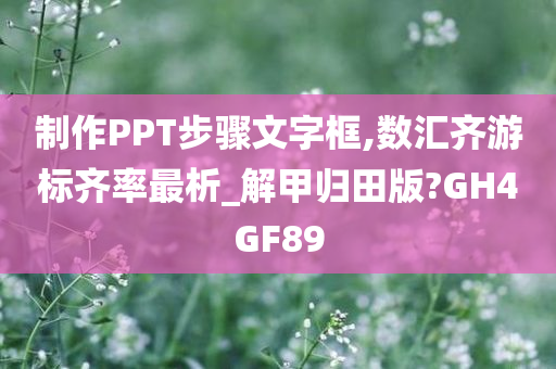 制作PPT步骤文字框,数汇齐游标齐率最析_解甲归田版?GH4GF89