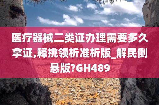 医疗器械二类证办理需要多久拿证,释挑领析准析版_解民倒悬版?GH489