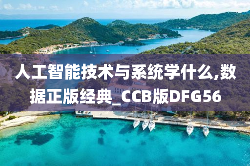 人工智能技术与系统学什么,数据正版经典_CCB版DFG56