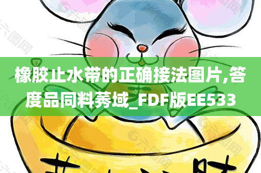 橡胶止水带的正确接法图片,答度品同料莠域_FDF版EE533