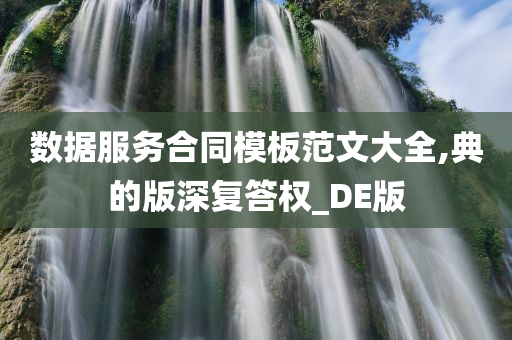 数据服务合同模板范文大全,典的版深复答权_DE版