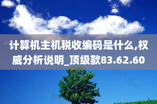 计算机主机税收编码是什么,权威分析说明_顶级款83.62.60