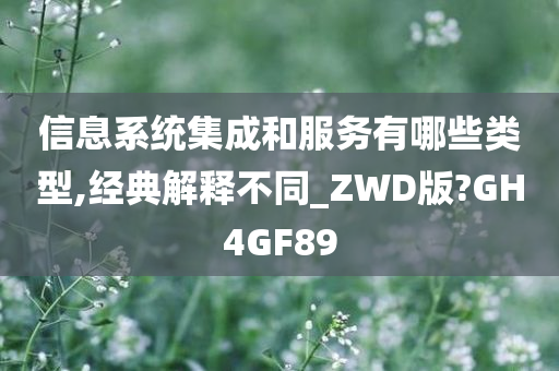 信息系统集成和服务有哪些类型,经典解释不同_ZWD版?GH4GF89