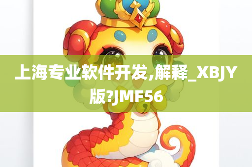 上海专业软件开发,解释_XBJY版?JMF56