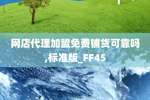 网店代理加盟免费铺货可靠吗,标准版_FF45