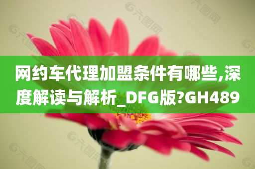 网约车代理加盟条件有哪些,深度解读与解析_DFG版?GH489