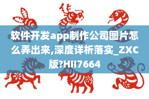 软件开发app制作公司图片怎么弄出来,深度详析落实_ZXC版?HII7664