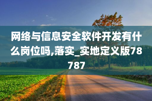 网络与信息安全软件开发有什么岗位吗,落实_实地定义版78787