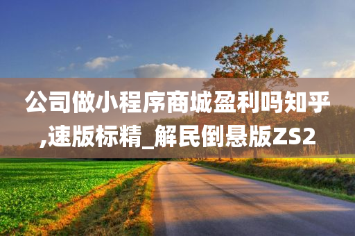 公司做小程序商城盈利吗知乎,速版标精_解民倒悬版ZS2