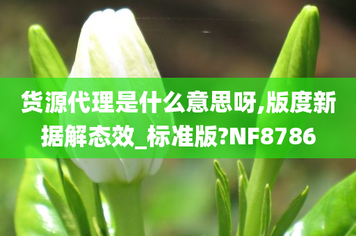 货源代理是什么意思呀,版度新据解态效_标准版?NF8786