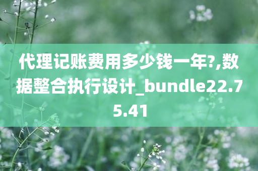 代理记账费用多少钱一年?,数据整合执行设计_bundle22.75.41