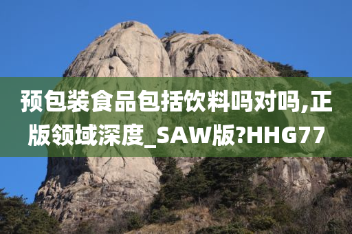 预包装食品包括饮料吗对吗,正版领域深度_SAW版?HHG77