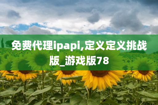 免费代理ipapi,定义定义挑战版_游戏版78