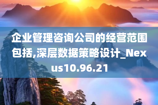 企业管理咨询公司的经营范围包括,深层数据策略设计_Nexus10.96.21