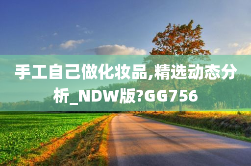 手工自己做化妆品,精选动态分析_NDW版?GG756