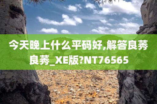 今天晚上什么平码好,解答良莠良莠_XE版?NT76565