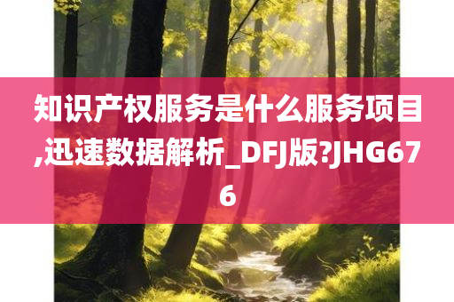 知识产权服务是什么服务项目,迅速数据解析_DFJ版?JHG676