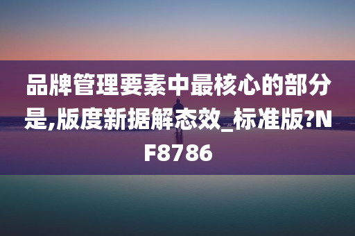 品牌管理要素中最核心的部分是,版度新据解态效_标准版?NF8786