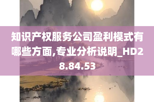 知识产权服务公司盈利模式有哪些方面,专业分析说明_HD28.84.53