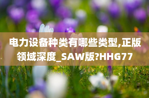 电力设备种类有哪些类型,正版领域深度_SAW版?HHG77