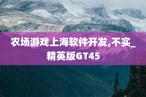 农场游戏上海软件开发,不实_精英版GT45