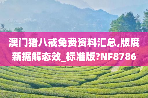 澳门猪八戒免费资料汇总,版度新据解态效_标准版?NF8786