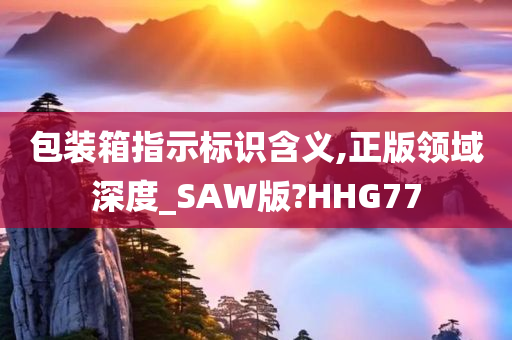 包装箱指示标识含义,正版领域深度_SAW版?HHG77