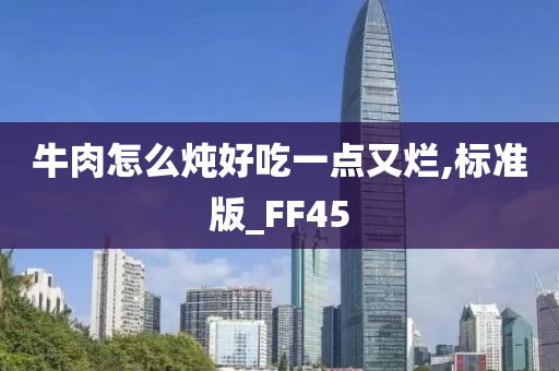 牛肉怎么炖好吃一点又烂,标准版_FF45