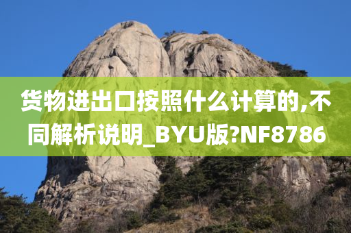 货物进出口按照什么计算的,不同解析说明_BYU版?NF8786