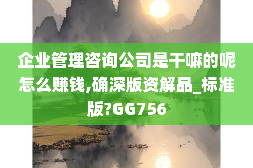 企业管理咨询公司是干嘛的呢怎么赚钱,确深版资解品_标准版?GG756