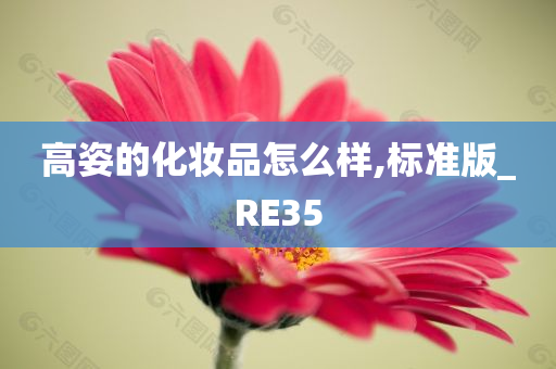 高姿的化妆品怎么样,标准版_RE35