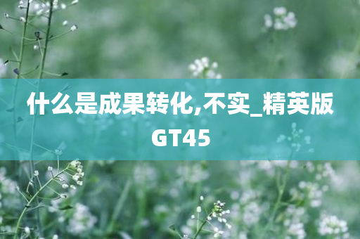 什么是成果转化,不实_精英版GT45