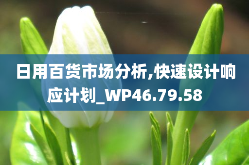 日用百货市场分析,快速设计响应计划_WP46.79.58