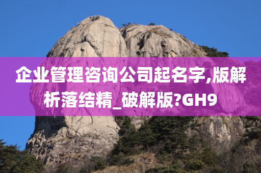 企业管理咨询公司起名字,版解析落结精_破解版?GH9