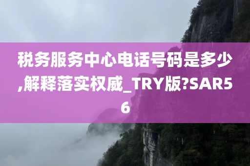 税务服务中心电话号码是多少,解释落实权威_TRY版?SAR56