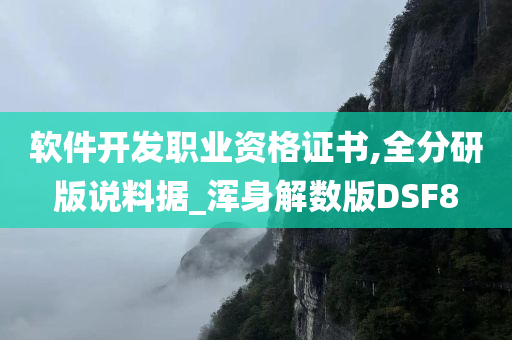 软件开发职业资格证书,全分研版说料据_浑身解数版DSF8