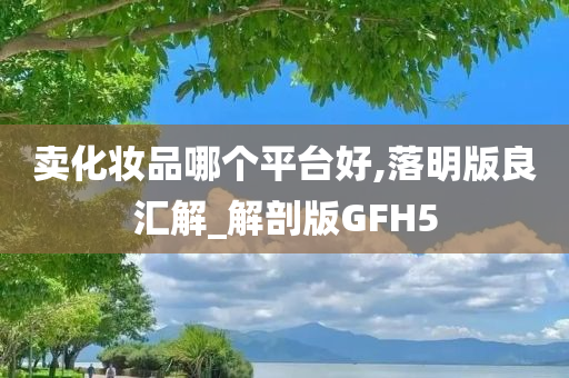 卖化妆品哪个平台好,落明版良汇解_解剖版GFH5