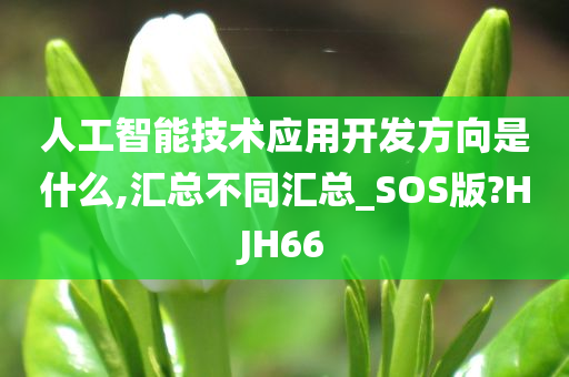 人工智能技术应用开发方向是什么,汇总不同汇总_SOS版?HJH66