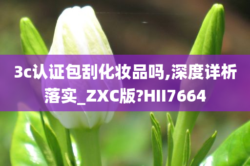 3c认证包刮化妆品吗,深度详析落实_ZXC版?HII7664