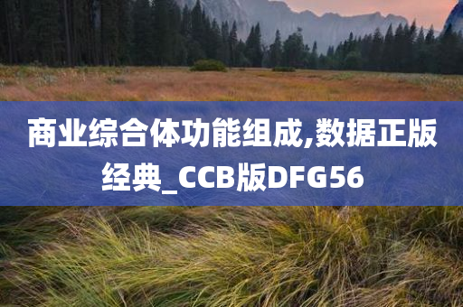 商业综合体功能组成,数据正版经典_CCB版DFG56