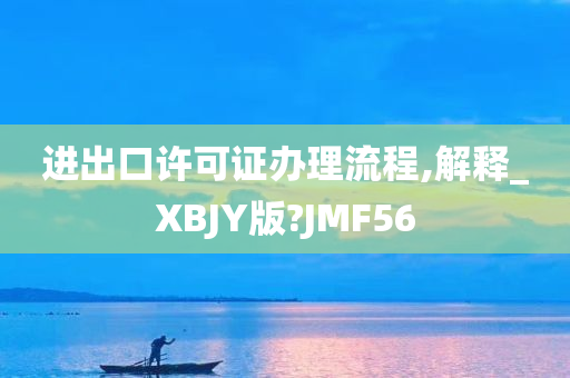 进出口许可证办理流程,解释_XBJY版?JMF56