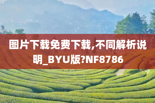 图片下载免费下载,不同解析说明_BYU版?NF8786