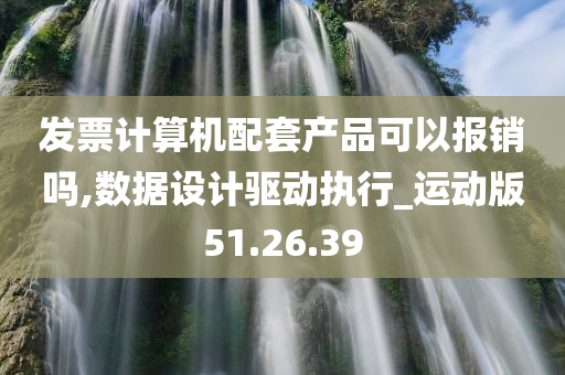 发票计算机配套产品可以报销吗,数据设计驱动执行_运动版51.26.39